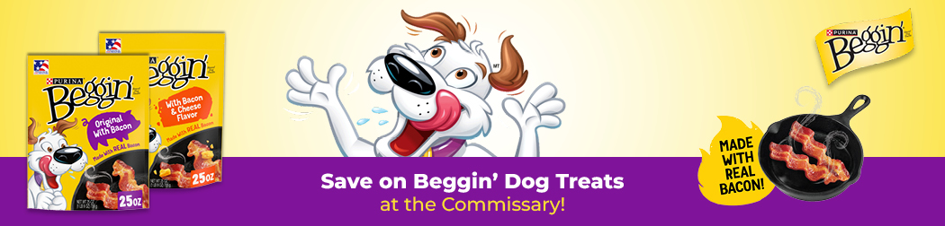 Purina_ROS_beggin_Dec2025