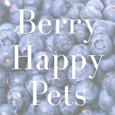 Berry Happy Pets Berry Happy Pets