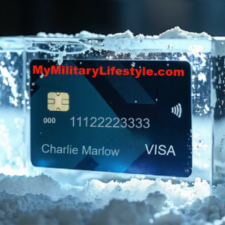 Frozen Credit Frozen Credit