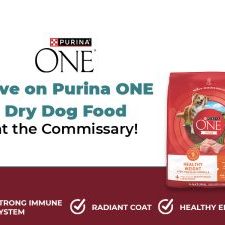 Purina One Featured