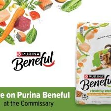 purina_ros_sm_beneful_mar2025_800x600-2-1.jpg