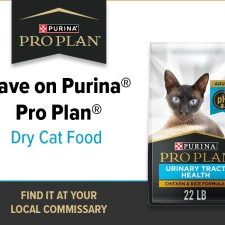 purina_ros_week3_may2025_800x600-1.jpg purina_ros_week3_may2025_800x600-1.jpg